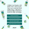 Exosome, NAD+ & Triple PDRN Hair & Scalp Therapy Set