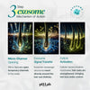 Exosome, NAD+ & Triple PDRN Scalp Shot Men