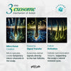 Exosome, NAD+ & Triple PDRN Scalp Shot