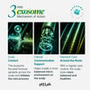 Exosome, NAD+ & Triple PDRN Bonding Hair Mask